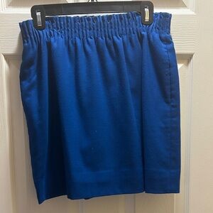 J. Crew Blue A-Line Skirt